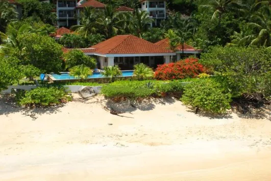 Sea Fans, Moho Bay, walk to beach, Virgin Gorda