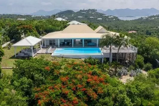 Callisto, Terres Basses hillside, St. Martin