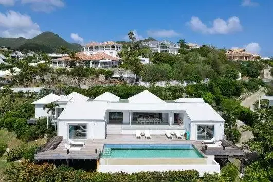 Mango, Orient Bay hillside, St. Martin